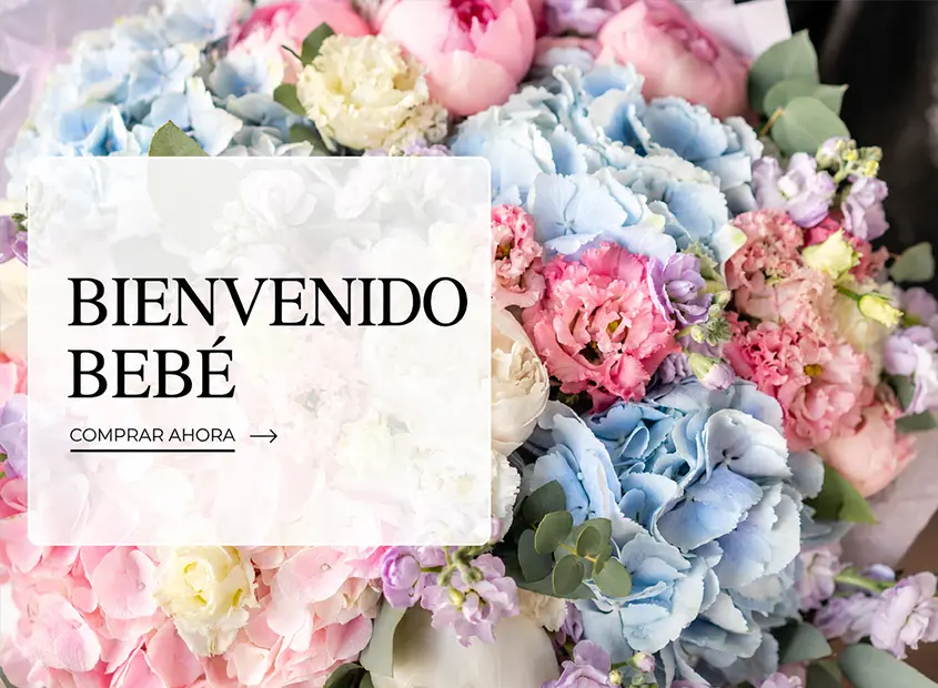 Ver colecciones
