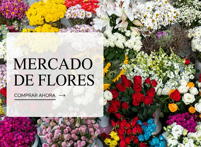 Ver colecciones