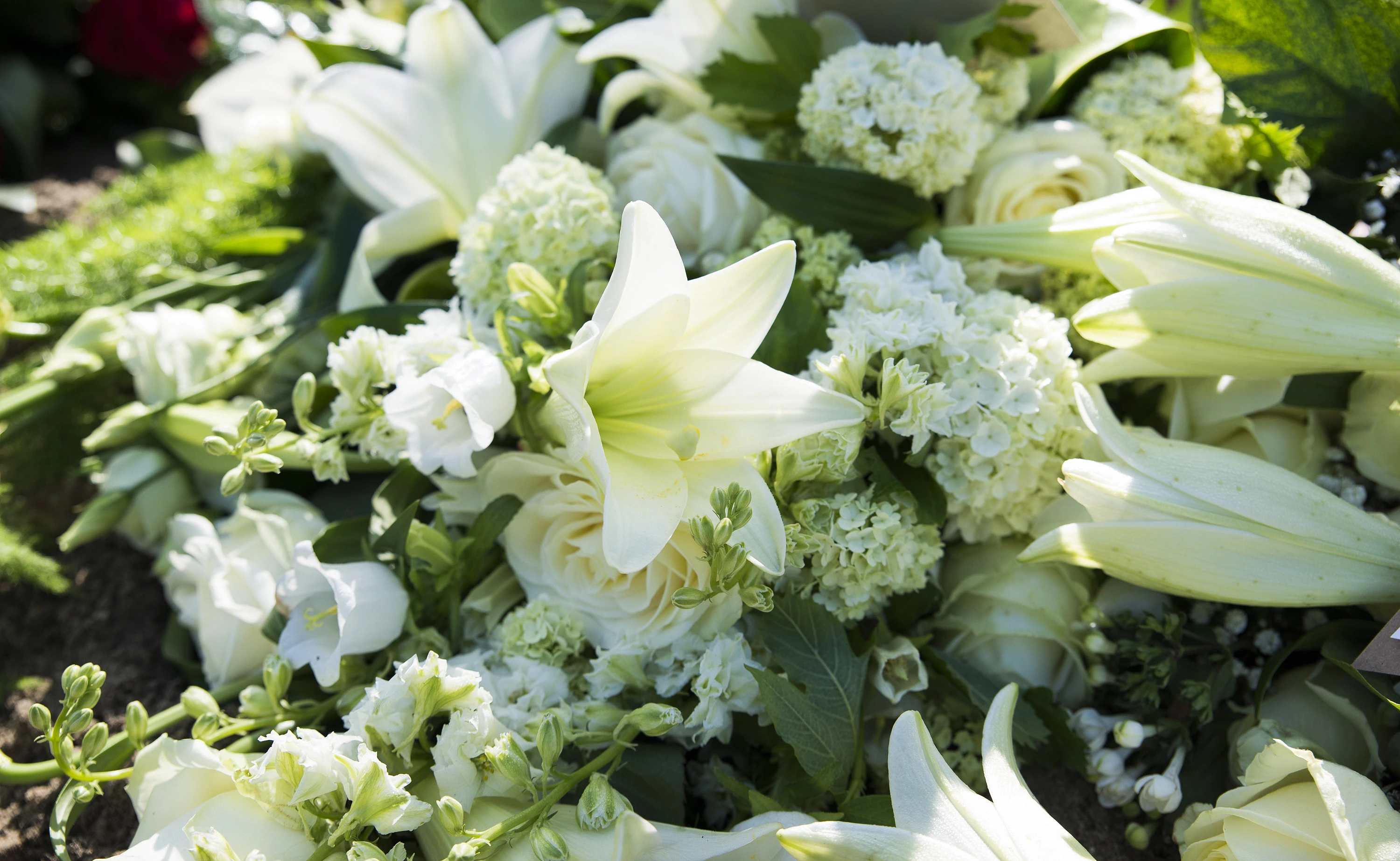 Condolencia