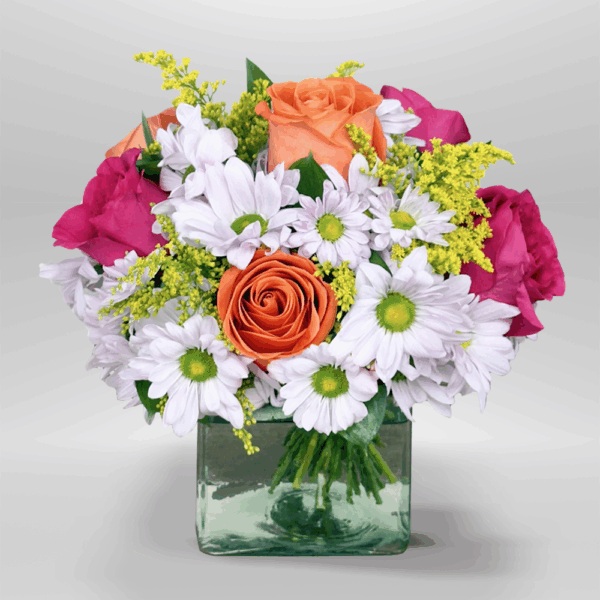 Acento Floral