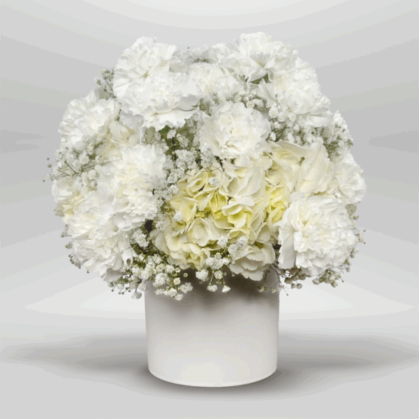 Nube Blanca